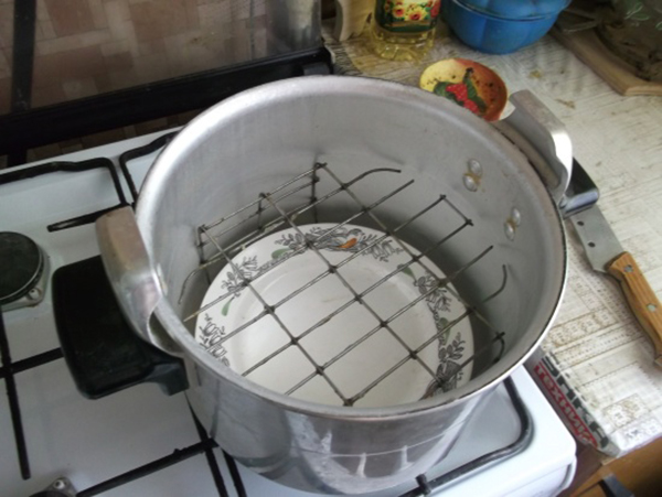 תמונה 7