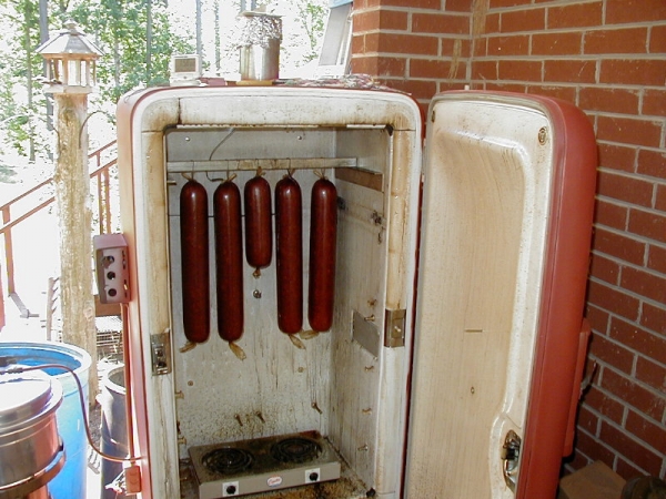 תמונה 8