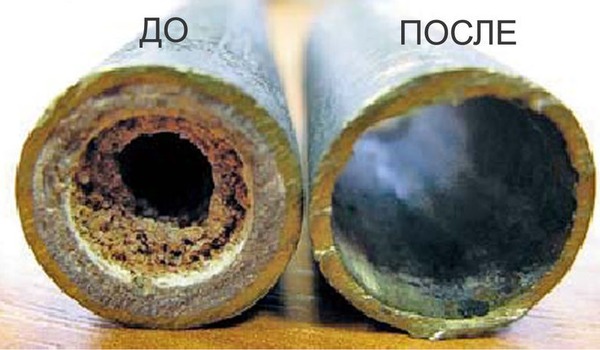 תמונה 4