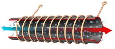 תמונה 5