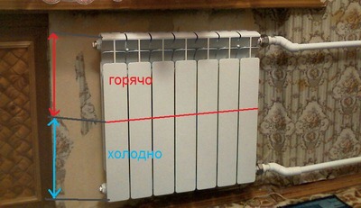תמונה 3