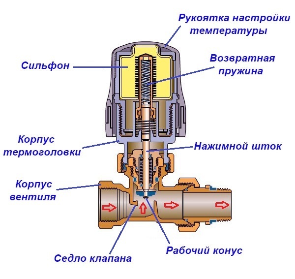 4 nuotrauka